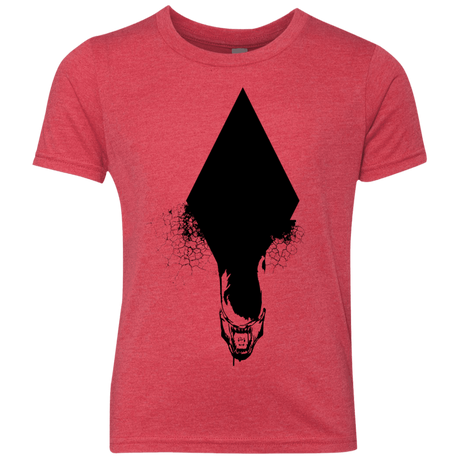 T-Shirts Vintage Red / YXS Alien Youth Triblend T-Shirt