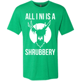 T-Shirts Envy / Small All I Ni Men's Triblend T-Shirt