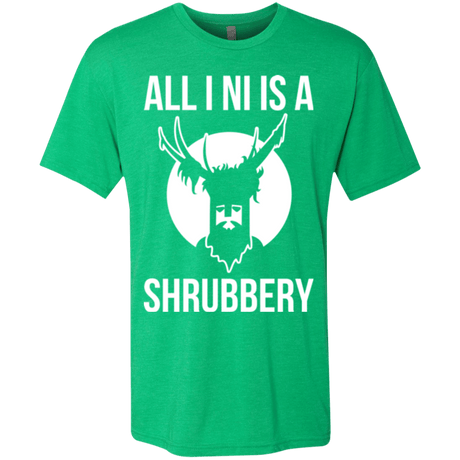 T-Shirts Envy / Small All I Ni Men's Triblend T-Shirt