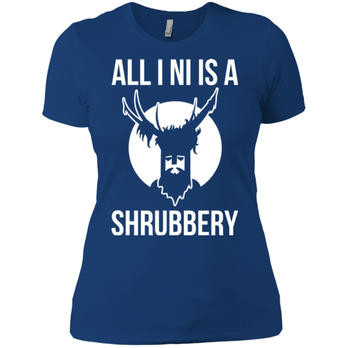 T-Shirts Royal / X-Small All I Ni Women's Premium T-Shirt