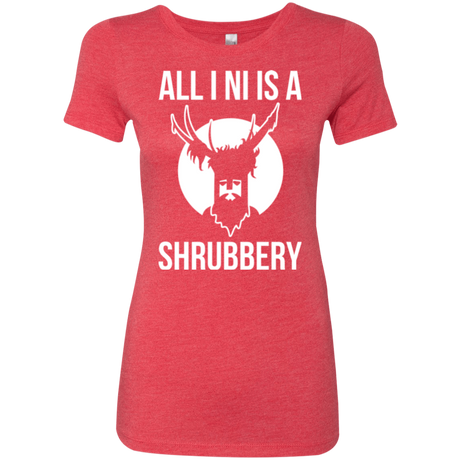 T-Shirts Vintage Red / Small All I Ni Women's Triblend T-Shirt