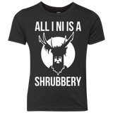 T-Shirts Vintage Black / YXS All I Ni Youth Triblend T-Shirt