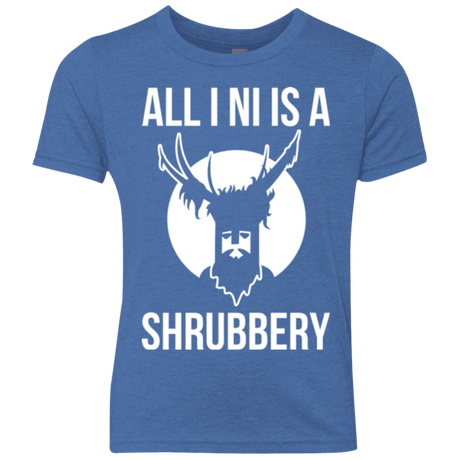 T-Shirts Vintage Royal / YXS All I Ni Youth Triblend T-Shirt