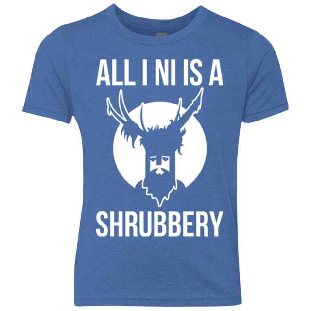 T-Shirts Vintage Royal / YXS All I Ni Youth Triblend T-Shirt