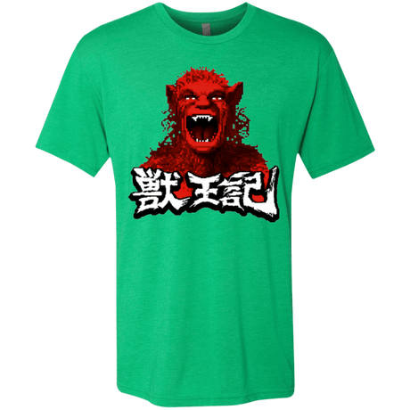 T-Shirts Envy / Small Altered Men's Triblend T-Shirt