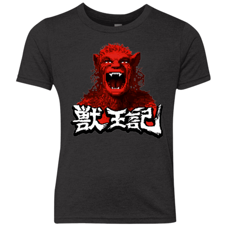 T-Shirts Vintage Black / YXS Altered Youth Triblend T-Shirt