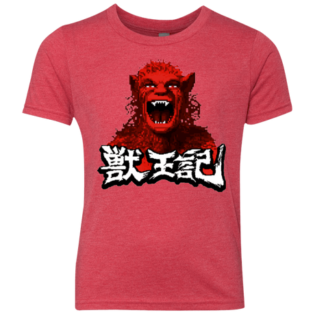 T-Shirts Vintage Red / YXS Altered Youth Triblend T-Shirt
