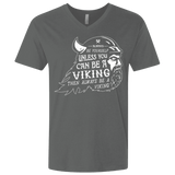 T-Shirts Heavy Metal / X-Small Always Be a Viking Men's Premium V-Neck