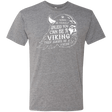 T-Shirts Premium Heather / Small Always Be a Viking Men's Triblend T-Shirt
