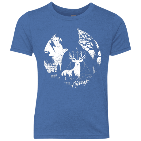 T-Shirts Vintage Royal / YXS Always Youth Triblend T-Shirt