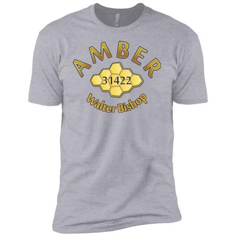 T-Shirts Heather Grey / YXS Amber Boys Premium T-Shirt