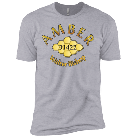 T-Shirts Heather Grey / X-Small Amber Men's Premium T-Shirt