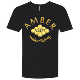 T-Shirts Black / X-Small Amber Men's Premium V-Neck