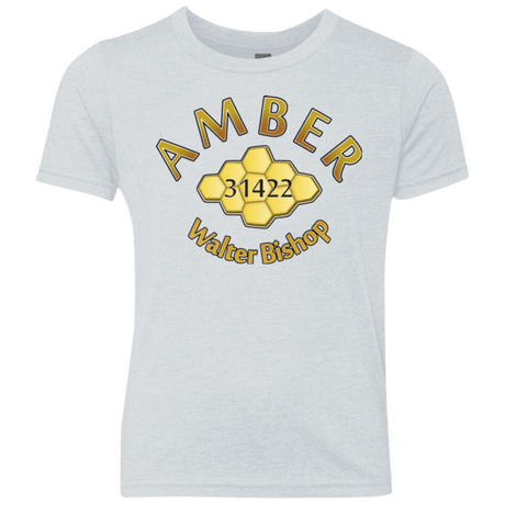T-Shirts Heather White / YXS Amber Youth Triblend T-Shirt