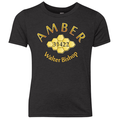 T-Shirts Vintage Black / YXS Amber Youth Triblend T-Shirt