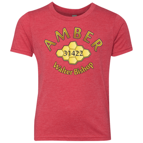 T-Shirts Vintage Red / YXS Amber Youth Triblend T-Shirt