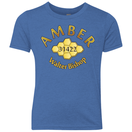 T-Shirts Vintage Royal / YXS Amber Youth Triblend T-Shirt