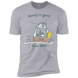 T-Shirts Heather Grey / YXS Amity Is Good Boys Premium T-Shirt