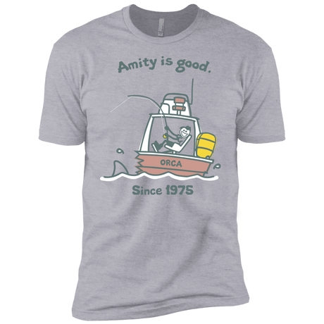 T-Shirts Heather Grey / YXS Amity Is Good Boys Premium T-Shirt