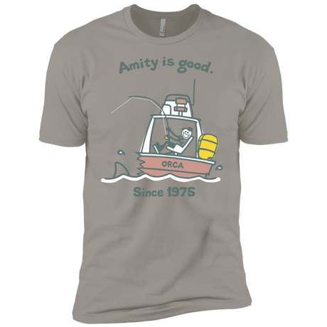 T-Shirts Light Grey / YXS Amity Is Good Boys Premium T-Shirt