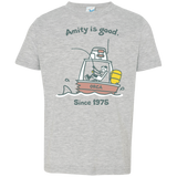 T-Shirts Heather / 2T Amity Is Good Toddler Premium T-Shirt