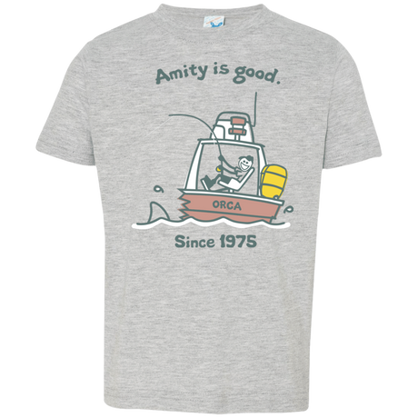 T-Shirts Heather / 2T Amity Is Good Toddler Premium T-Shirt