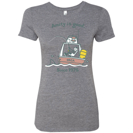 T-Shirts Premium Heather / Small Amity Is Good Women's Triblend T-Shirt