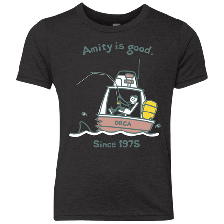 T-Shirts Vintage Black / YXS Amity Is Good Youth Triblend T-Shirt