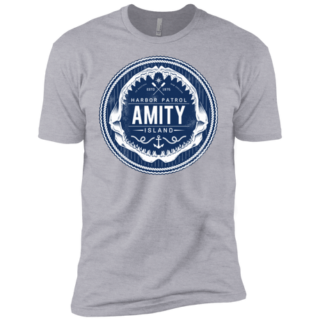 T-Shirts Heather Grey / YXS Amity nemons Boys Premium T-Shirt