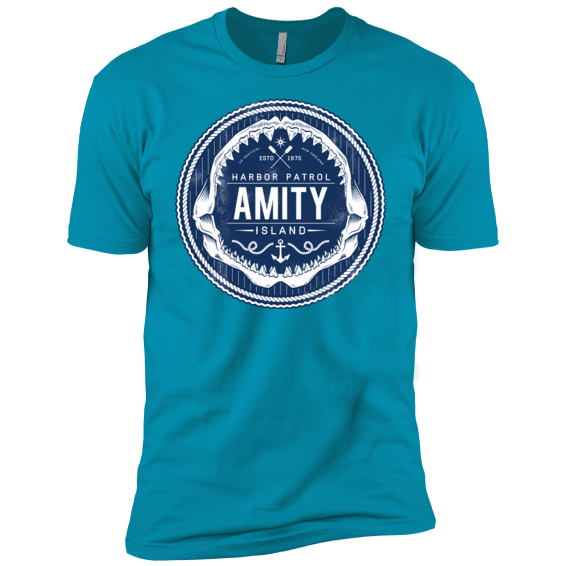 T-Shirts Turquoise / YXS Amity nemons Boys Premium T-Shirt