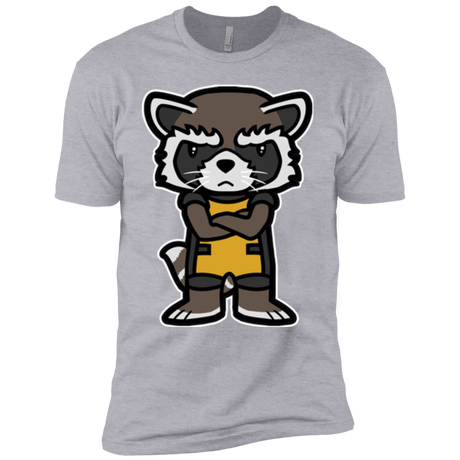 T-Shirts Heather Grey / YXS Angry Racoon Boys Premium T-Shirt