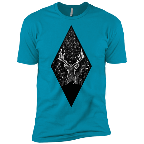 T-Shirts Turquoise / YXS Antler Stars Boys Premium T-Shirt