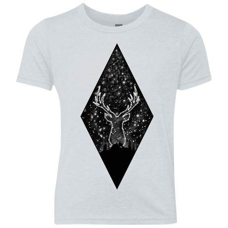 T-Shirts Heather White / YXS Antler Stars Youth Triblend T-Shirt