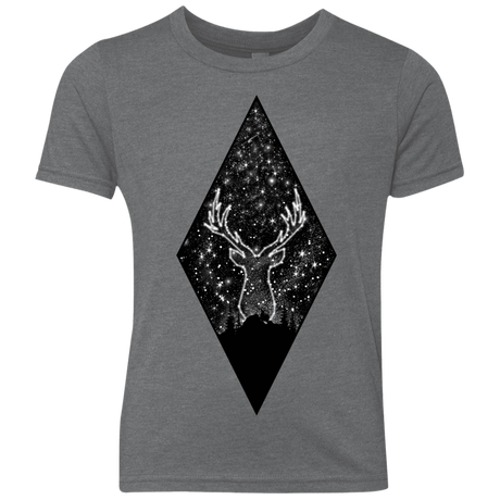 T-Shirts Premium Heather / YXS Antler Stars Youth Triblend T-Shirt