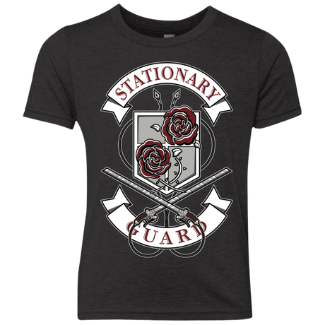 T-Shirts Vintage Black / YXS AoT Stationary Guard Youth Triblend T-Shirt