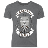 T-Shirts Premium Heather / YXS AoT Training Corps Youth Triblend T-Shirt