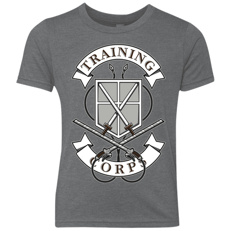 T-Shirts Premium Heather / YXS AoT Training Corps Youth Triblend T-Shirt