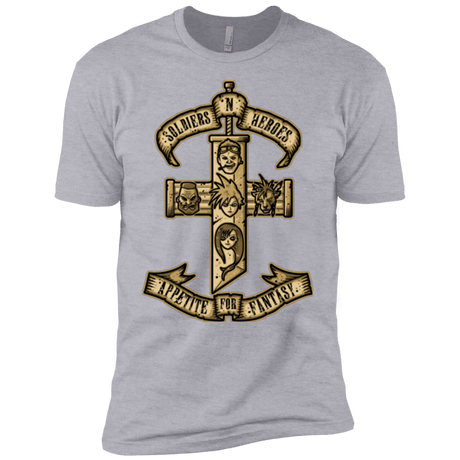 T-Shirts Heather Grey / YXS APPETITE FOR FANTASY Boys Premium T-Shirt