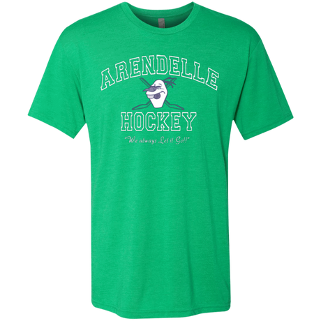 T-Shirts Envy / Small Arendelle University Men's Triblend T-Shirt