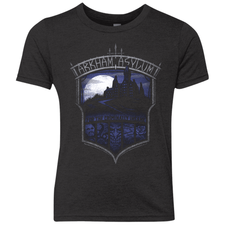 T-Shirts Vintage Black / YXS Arkham Asylum Youth Triblend T-Shirt