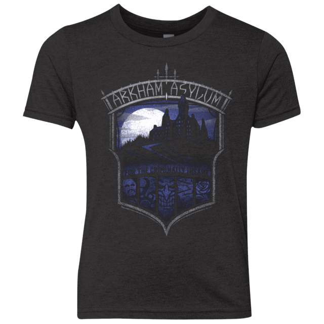 T-Shirts Vintage Black / YXS Arkham Asylum Youth Triblend T-Shirt