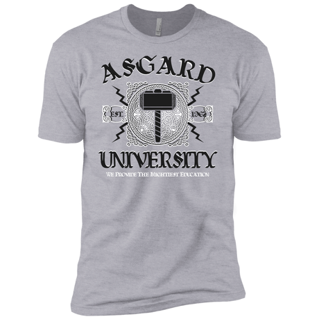 T-Shirts Heather Grey / YXS Asgard University Boys Premium T-Shirt