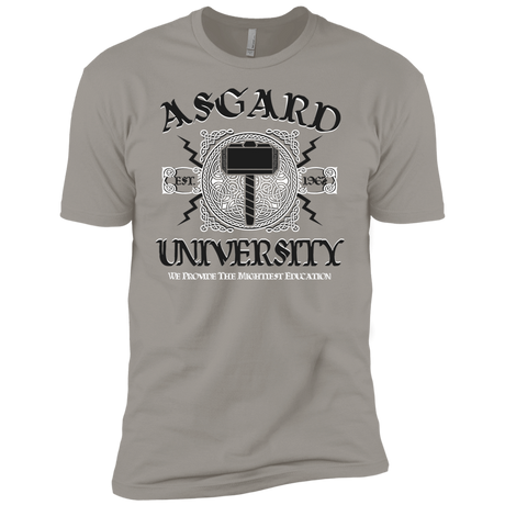 T-Shirts Light Grey / YXS Asgard University Boys Premium T-Shirt