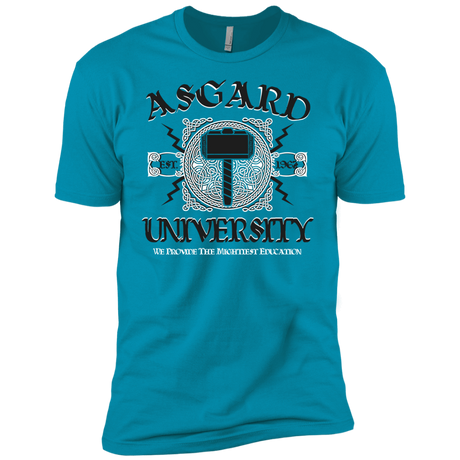 T-Shirts Turquoise / YXS Asgard University Boys Premium T-Shirt