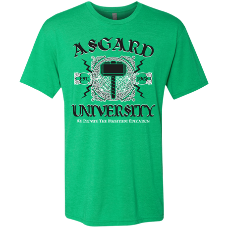 T-Shirts Envy / Small Asgard University Men's Triblend T-Shirt