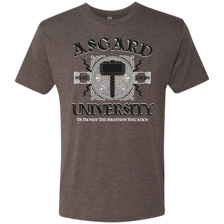 T-Shirts Macchiato / Small Asgard University Men's Triblend T-Shirt