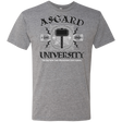 T-Shirts Premium Heather / Small Asgard University Men's Triblend T-Shirt