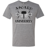 T-Shirts Premium Heather / Small Asgard University Men's Triblend T-Shirt