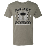 T-Shirts Venetian Grey / Small Asgard University Men's Triblend T-Shirt