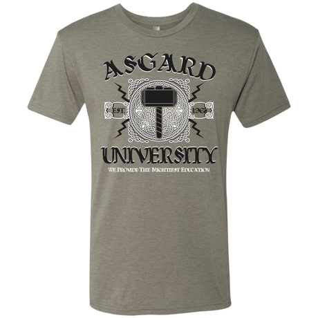 T-Shirts Venetian Grey / Small Asgard University Men's Triblend T-Shirt